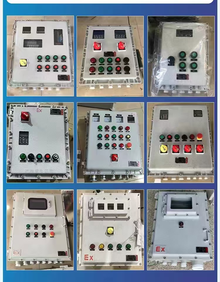 防爆控制柜(图2)