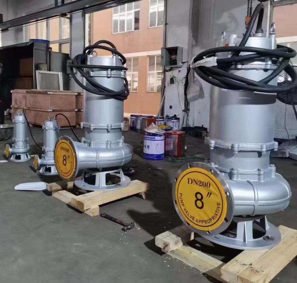 防爆排污泵(图3)