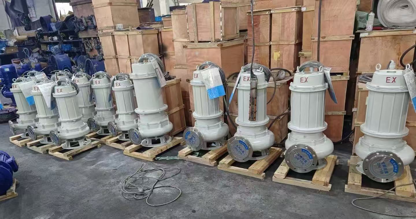 防爆排污泵(图6)