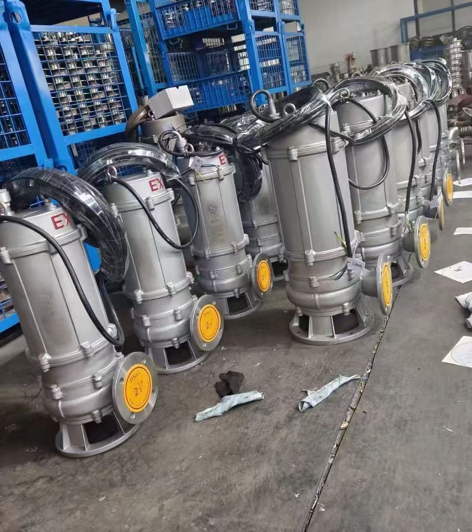 防爆排污泵(图2)